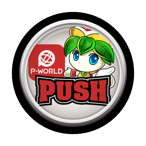 P-WORLD PUSH
